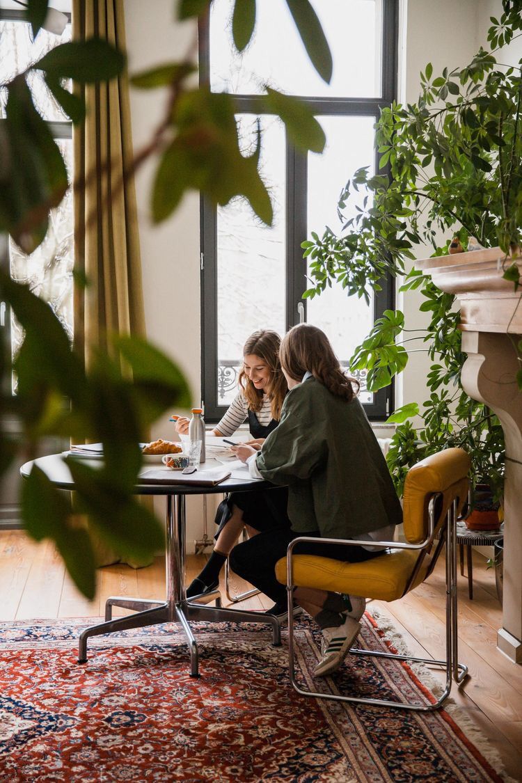 Two people conversing at a table in a bright room with green plants.